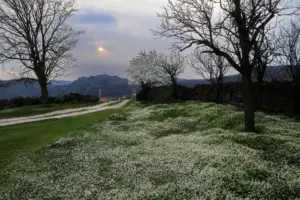 10. izložba "Knić i Gruža kroz objektiv - rezultati (galerija) 5 - Foto klub Objektiv Kragujevac