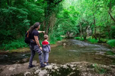 lessons-from-nature