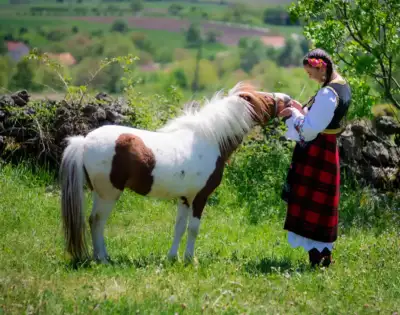 a-girl-with-a-horse